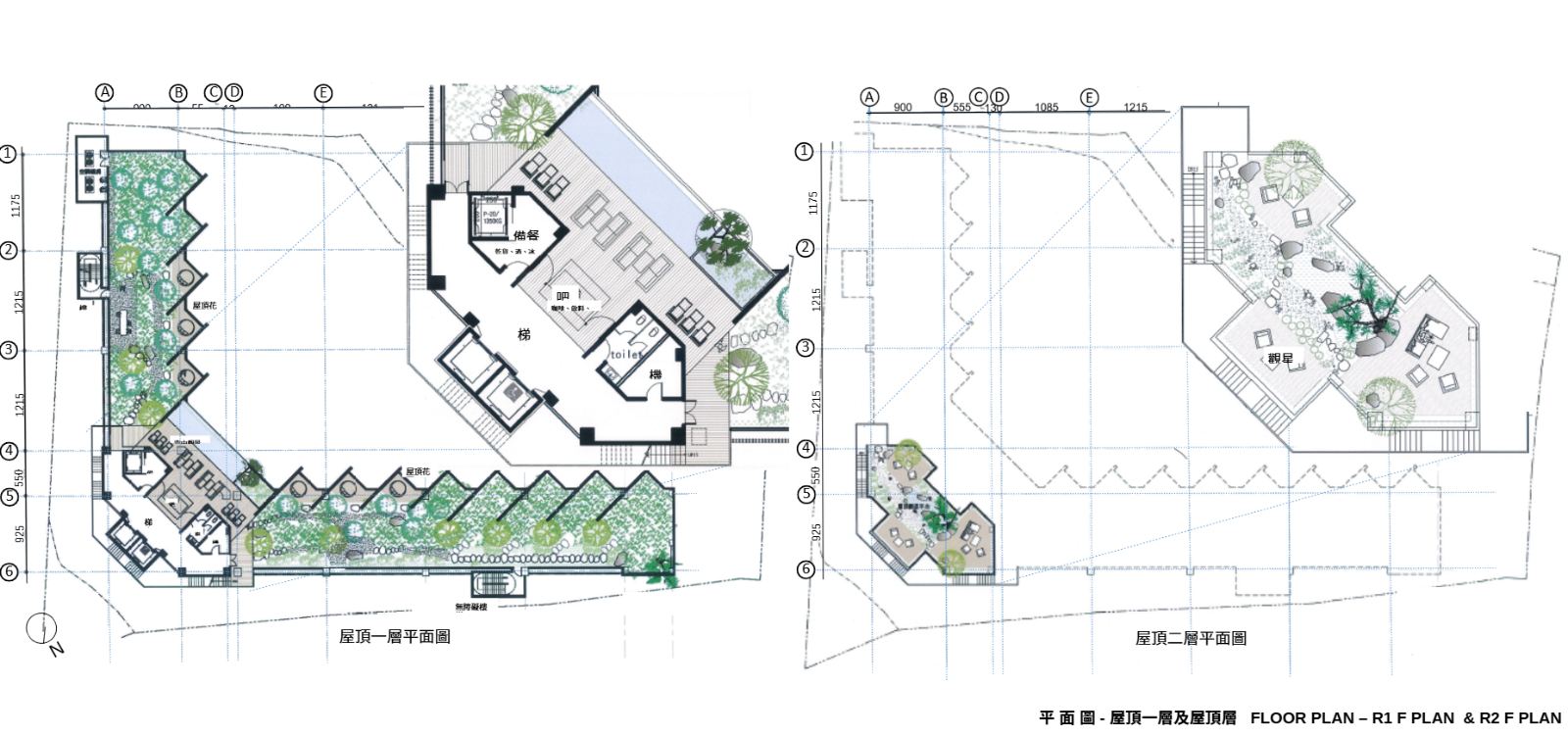 此圖為屋頂一層與屋頂二層建築景觀平面配置圖，以黑白線稿結合綠意圖塊繪製。規劃涵蓋室內吧台、備餐機能，以及戶外屋頂花園與多角形觀星露台配置。